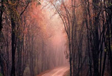 埃尔比将在斯特拉斯堡竞技场迎战梅斯