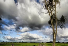 乌克兰举重选手大放异彩，夺鏖战金牌