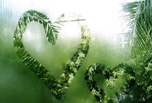 沃尔夫斯堡主场告捷，连奏胜利