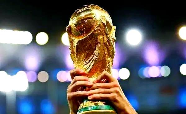 星空体育课程-世界杯足球赛事新晋冠军崭露头角