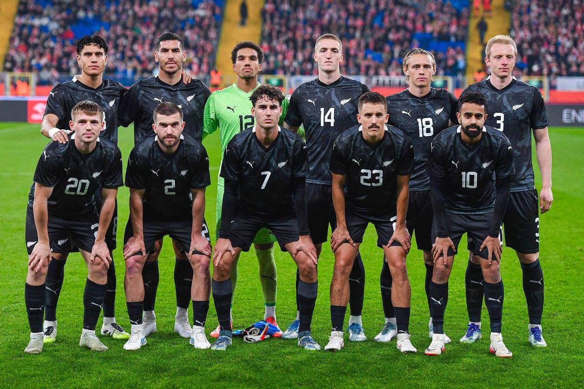 关于爱尔兰-战平卢森堡，欧洲杯预选赛实力略显不足的信息